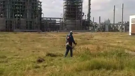 INEDIT. Salariaţii Arpechim din Piteşti, puşi să tundă iarba VIDEO
