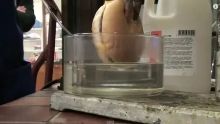 A băgat un Cheeseburger în ACID CLORHIDRIC. Ce se întâmpă după e INCREDIBIL VIDEO