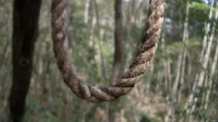 TRAGEDIE în Arad. O fată aflată în plasament, găsită spânzurată în pădure