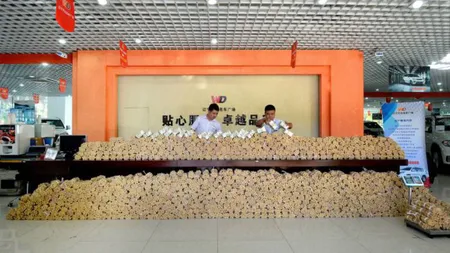 INCREDIBIL: A agonisit 95.000 de euro în monede, apoi şi-a luat maşină VIDEO