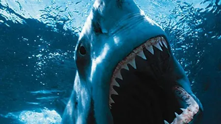 Australieni au creat aparatul care ţine rechinii la distanţă