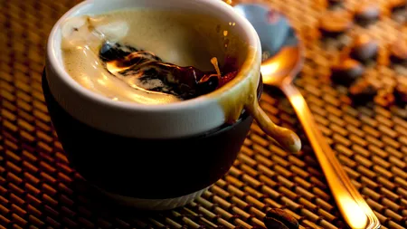 Consumul de cafea ameninţă pădurea tropicală