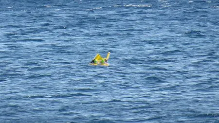 Şocant! Un bebeluş a plutit 1 km pe mare, în timp ce părinţii se bronzau