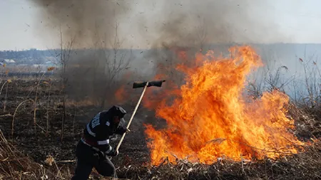 Incendiu de vegetaţie din Bacău, stins după 13 ore