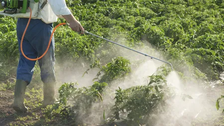 Cum să ne ferim, ca pesticidele din alimente să nu ne afecteze organismul. Nu este suficientă o simplă spălare