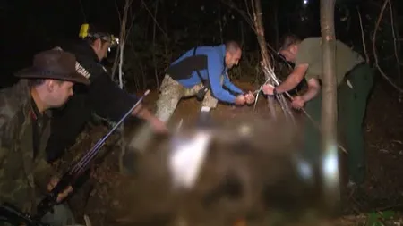 Scene triste la Buşteni: Un pui de urs flămând s-a prins în laţul pus de braconieri VIDEO
