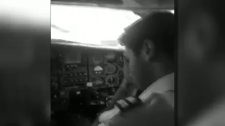Un vultur s-a ciocnit cu un avion VIDEO