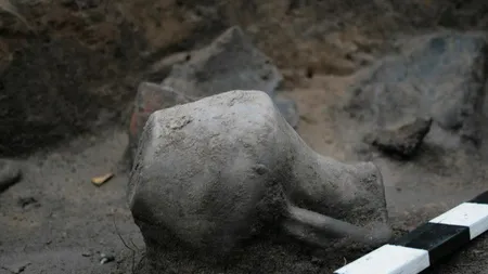 Noi descoperiri arheologice în singura cetate dacică de câmpie din România