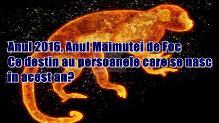 Anul Maimuţei de Foc, 2016: Ce destin au persoanele care se nasc în acest an