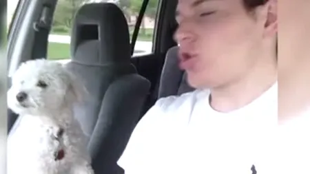 Imagini ADORABILE. DUET INEDIT între un căţel şi stăpânul său VIDEO