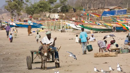 Un bărbat din Gambia, judecat pentru că a postat pe Facebook o caricatură cu profetul Mahomed