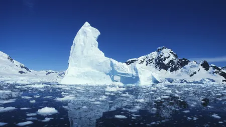 ÎNCĂLZIRE GLOBALĂ Rolul biodiversităţii arctice şi ameninţările la adresa acesteia, în imagini