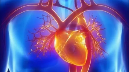 Cum îţi poate spune părul tău dacă rişti să ai accidente cardiovasculare