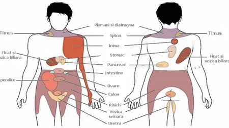 7 dureri pe care nu trebuie să le ignori. Ar putea fi semnalul unor BOLI GRAVE