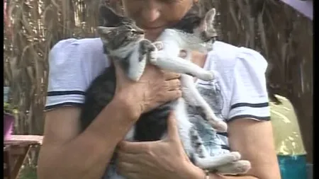 Idee inedită a doi tineri. Prima cafenea cu PISICI a fost deschisă în România VIDEO