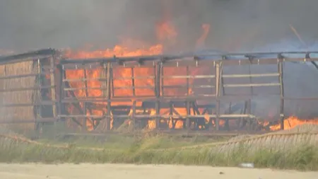 Incendiu devastator pe plaja de la Vadu. Zece hectare de vegetaţie şi o cherhana s-au făcut scrum VIDEO