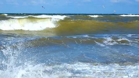 Tragediile continuă pe litoral. Un bărbat s-a înecat la Neptun