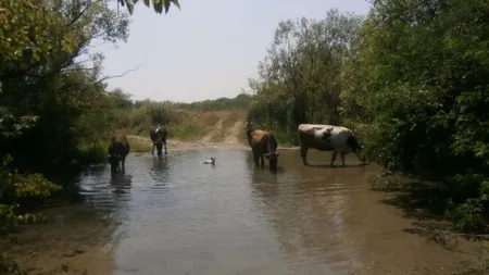 PROIECTUL RATAT al lui CEAUŞESCU. Lacul din România care apare pe hărţi, dar în realitate nu există
