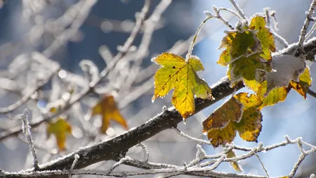 PROGNOZA METEO pe două săptămâni: Schimbări radicale ale vremii