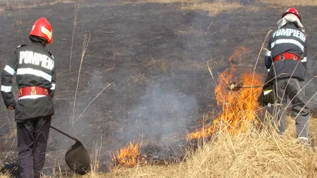 Un incendiu puternic în Arad. 70 de hectare de porumb nerecoltat, mistuite de flăcări