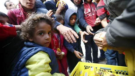 România se pregăteşte de primirea refugiaţilor. O nouă TABĂRĂ, la graniţa cu Serbia VIDEO