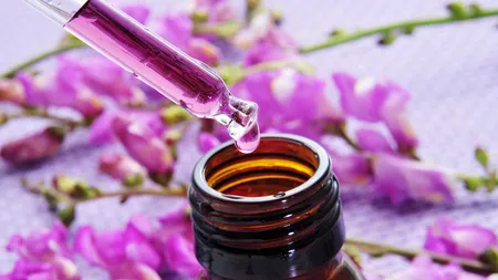 Terapia florală Bach: Sănătate şi armonie din înţelepciunea florilor