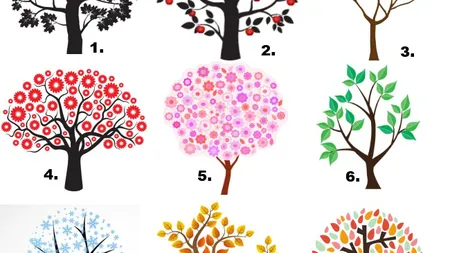 Testul copacului: Află ce spune despre tine imaginea pe care o alegi