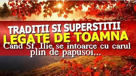 Superstiţii şi tradiţii legate de toamnă: Ce se întâmplă dacă păsările zboară lin