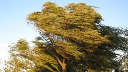 COD GALBEN. Fenomene meteo EXTREME în următoarele ore