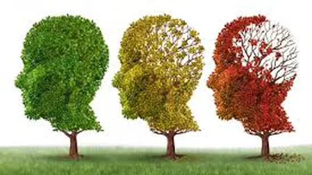 O proteină are rol determinant în progresia maladiei Alzheimer