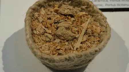 GARUM - condimentul fabulos al Antichităţii. Ce ştim azi despre 