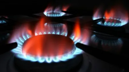INS: Resursele de gaze ale României, în scădere în primele 11 luni ale anului 2015