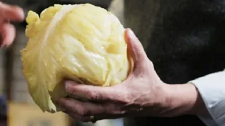 Reţeta zilei de marţi. Varză murată la butoi. Secretul unui prânz delicios