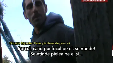 Explicaţii incredibile ale bărbatului care a ŞOCAT mii de oameni după ce a pârlit un porc de viu VIDEO