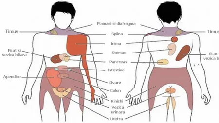 7 dureri pe care nu trebuie să le ignori. Pot semnala afecţiuni foarte grave