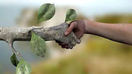 Plante care sunt vampiri energetici. Află care îţi fac bine şi de care trebuie să te fereşti