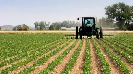 Achim Irimescu, ministrul Agriculturii, vrea ca străinii să nu mai poată cumpăra uşor terenuri agricole în România