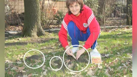 Ministrul Sportului trăieşte de cinci ani în teroare. Elisabeta Lipă este în război cu o cârtiţă VIDEO