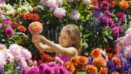 Descoperire uluitoare despre primele plante cu flori apărute pe Terra. Vezi când au existat primele seminţe