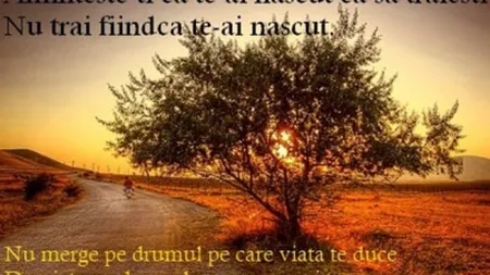 10 principii ZEN care îşi vor schimba perspectiva asupra vieţii