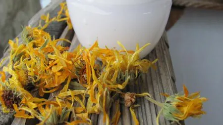 Remedii naturale speciale pentru minte şi corp