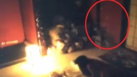 Este bântuit, dar este cel mai fericit moment al vieţii lui. Ce face fantoma pe care a filmat-o bărbatul VIDEO