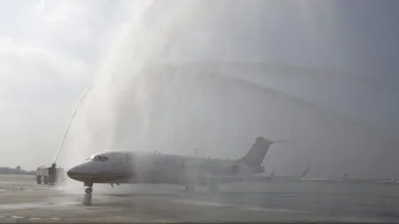 AVION întors la bază din cauza unui ŞOBOLAN. Un pasager a văzut rozătoarea alergând în jurul cabinei