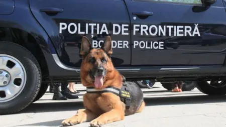Cinci somalezi, prinşi în timp ce încercau să intre ilegal în România