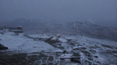 Opt turişti, BLOCAŢI pe Platoul Bucegi