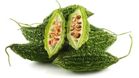 Tărtăcuţa amară, sursă preţioasă de INSULINĂ VEGETALĂ. Află care sunt cele 8 boli pe care le vindecă această legumă