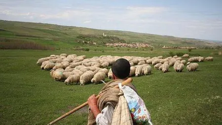 Zeci de poliţişti şi jandarmi au făcut noapte albă din cauza unui cioban beat, care s-a rătăcit