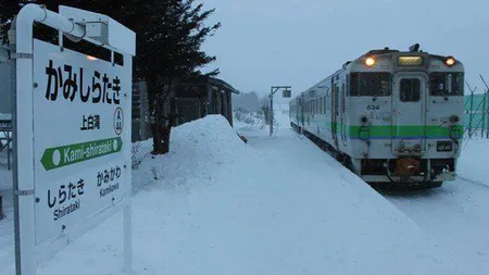 O gară din Japonia a rămas deschisă pentru UN SINGUR OM. GALERIE FOTO