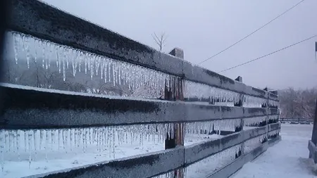 Cod portocaliu de PLOAIE ÎNGHEŢATĂ în Ungaria
