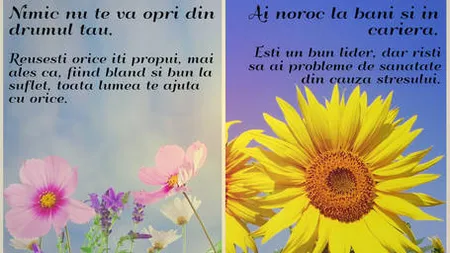 Profeţia lunii în care te-ai născut. Ce spune despre destinul tău